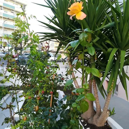 アパート 2 Bedrooms Appartement With Enclosed Garden And Wifi At Almada 8 Km Away From The Beach アルマダ